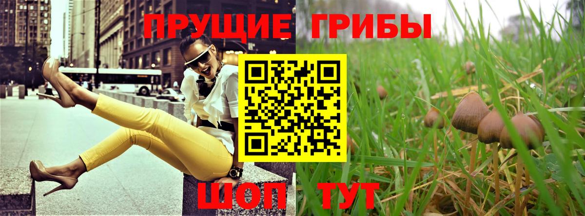 Псилоцибиновые грибы ЛСД  Вход с VPN  Новокубанск  Галлюциногенные грибы мицелий 